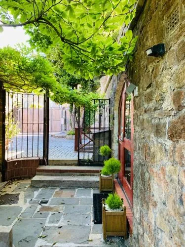 Ferndale Mews photo 12