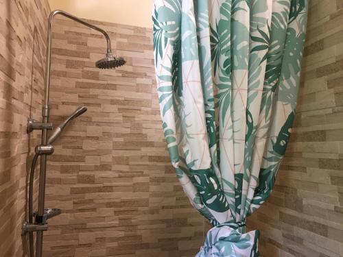 a shower curtain in a bathroom next to a showeroser at Pension Te Aroha - Te Rai in Maatea