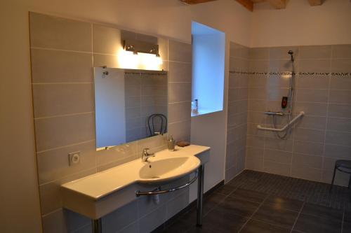 a bathroom with a sink and a mirror at Le Chêne Blanc in Plessé