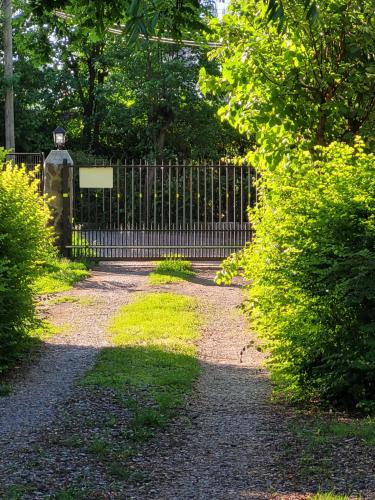a iron fence with a gate in a garden at Cabañas Aguas Claras in Pinto