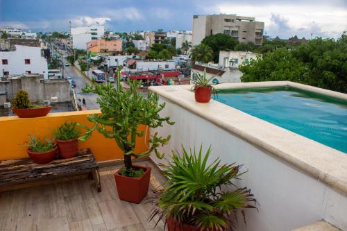 balcón con macetas y piscina en Hotel Eleven by BFH, en Playa del Carmen