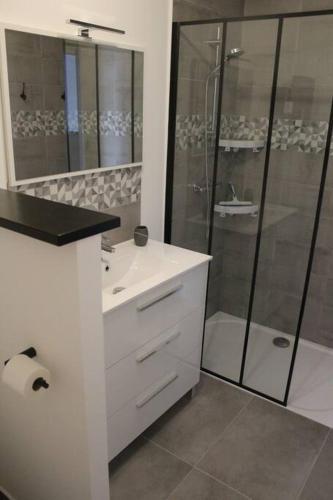 une salle de bain avec un lavabo blanc et une douche dans l'établissement Logement idéal curistes, à Rochefort