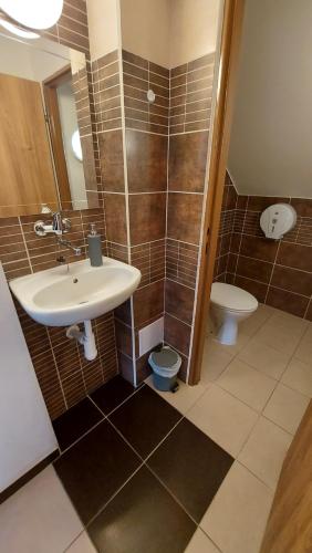 Ένα μπάνιο στο Apartmány Podlavice