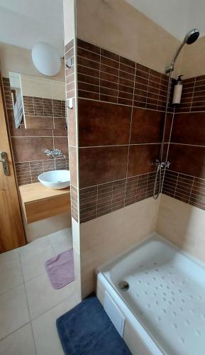 Ένα μπάνιο στο Apartmány Podlavice