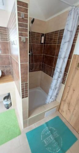 Ένα μπάνιο στο Apartmány Podlavice