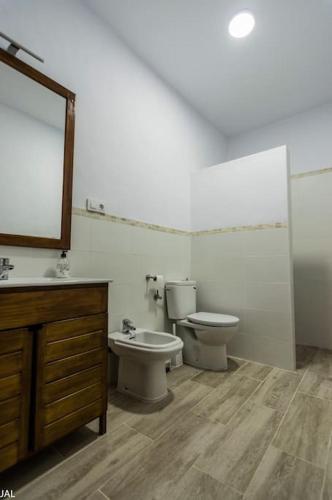 a bathroom with a toilet and a sink and a mirror at CASA RURAL LOS ALTOS in Ojuelos Altos