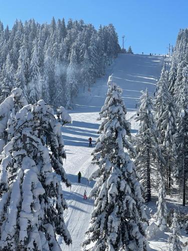 a group of snow covered trees on a ski slope at Woodside Kopaonik & SPA by Slopeview in Kopaonik