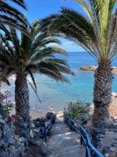 two palm trees on a beach next to the ocean at La Guarida de Alcalán in Alcalá