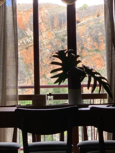 a plant sitting on a table in front of a window at Mirador Del Río Piedra in Nuévalos