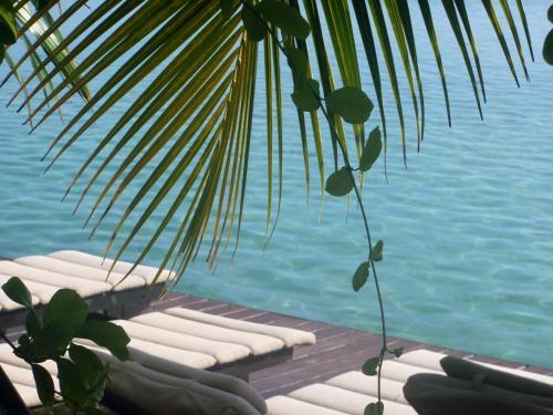 a group of chaise lounges next to the water at Hôtel Fenua Mata'i'oa in Papetoai