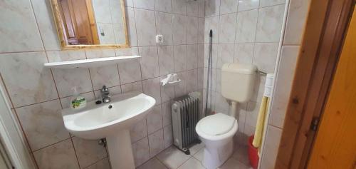 Un baño con lavabo, inodoro y espejo. en Apartments in Zalakaros 43608, en Zalakaros