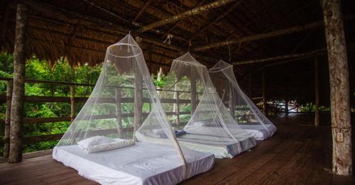 Bribri Eco Aventura – Photos 2