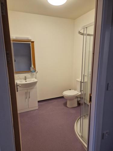 a bathroom with a toilet and a sink at Home Inn in Athlone