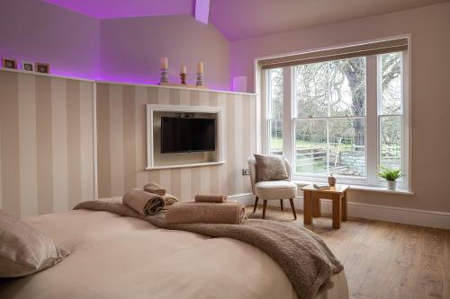 1 dormitorio con paredes de color púrpura, 1 cama y TV en Swn y Cnocell, en Y Felinheli
