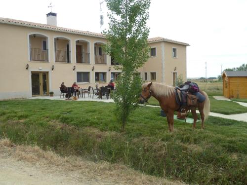 a horse standing in the grass in front of a building at Hostal Moratinos in Moratinos