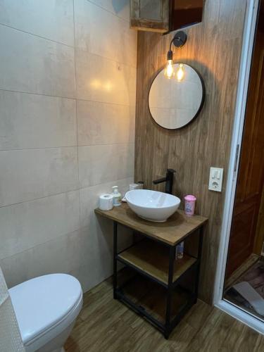 W łazience znajduje się umywalka, toaleta i lustro. w obiekcie kushki's home w mieście Tbilisi City