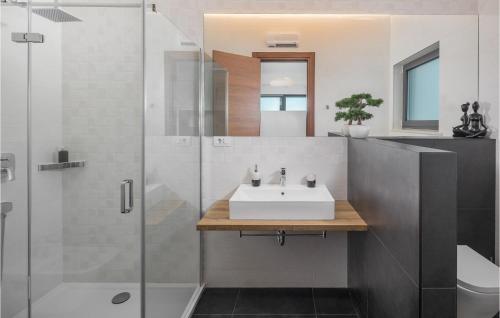La salle de bains est pourvue d'un lavabo et d'une douche. dans l'établissement 4 Bedroom Stunning Home In Rakalj, à Rakalj