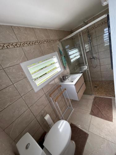 a bathroom with a toilet and a sink and a shower at Goyave-Cerise in Trois-Rivières