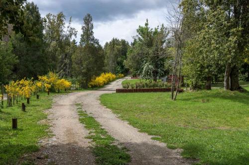 a dirt road in a park with trees and grass at Solar Selvana - Casas de montaña in Villa La Angostura