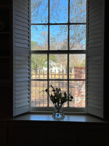 a vase of flowers sitting on a window sill at Opus House Historic Natchitoches in Natchitoches