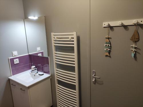 ein Bad mit einem Waschbecken und eine Tür mit einem Spiegel in der Unterkunft T2 de Standing avec Jardin, Terrasse et WI-FI au Centre de La Roche-Posay - FR-1-541-67 in La Roche-Posay