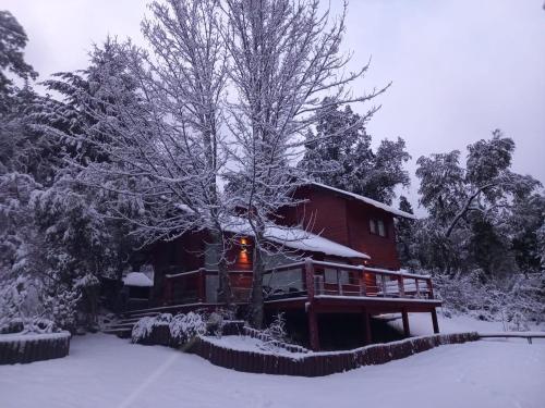 a house with a tree in the snow at Solar Selvana - Casas de montaña in Villa La Angostura