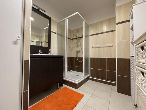 セットにあるAppartement Sète, 2 pièces, 4 personnes - FR-1-338-5のバスルーム(シャワー、洗面台、トイレ付)