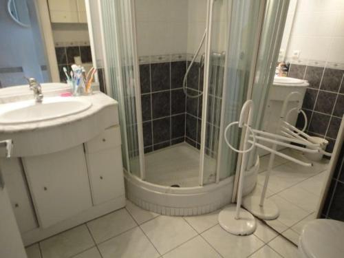 une salle de bain avec douche et lavabo dans l'établissement Appartement 2 pièces avec piscine et parking, en bord de plage - FR-1-250-213, au Grau-du-Roi