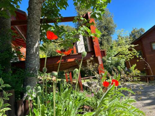a garden with red flowers in front of a house at Solar Selvana - Casas de montaña in Villa La Angostura