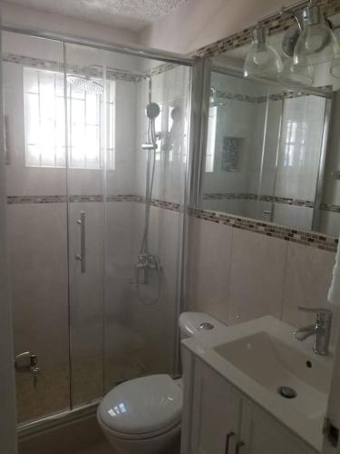 a bathroom with a shower and a toilet and a sink at Ridgeview Suites 1 to 3 in Kingston