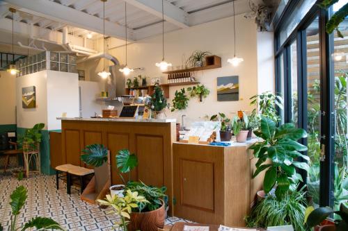 a restaurant with potted plants and a counter at Lixia Hostel in Xiaoliuqiu