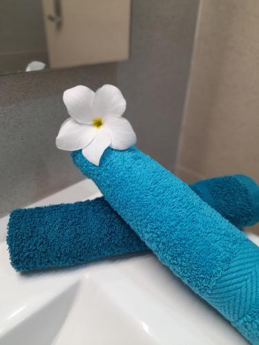 ein blaues Handtuch mit einer Blume auf einem Waschbecken in der Unterkunft Irfanell in Saint-Louis