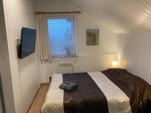 um quarto com uma cama e uma janela em Holiday Homes Eliza em Druskininkai