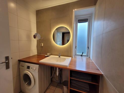 een badkamer met een wastafel en een wasmachine bij De Sloothaak in Giethoorn