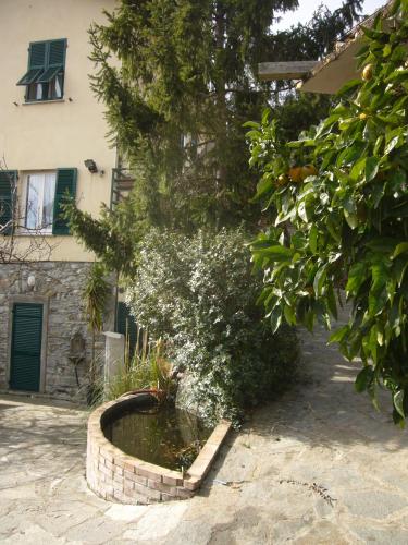 a tree in a planter in front of a building at Agriturismo OlivArancio in Leivi
