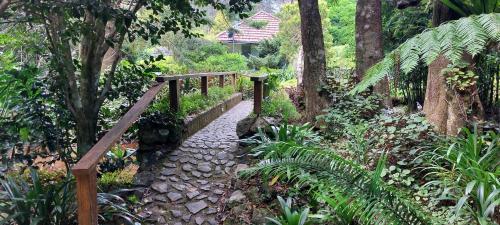 a walkway in a garden with a wooden bridge at English Gardens - Forest Spa Suite in Springbrook