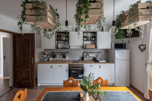 a kitchen with white cabinets and lots of plants at Zemplén Gyöngye Vendégház in Erdőhorváti