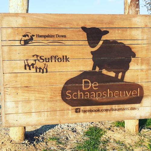 a wooden sign with a picture of a pig on it at Sheepinn de geul in Tielt