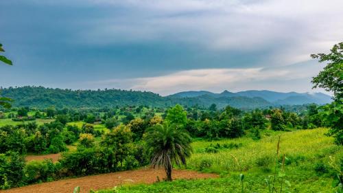 a palm tree in a field with mountains in the background at The Fern Sattva Resort - Polo Forest in Vijayanagar
