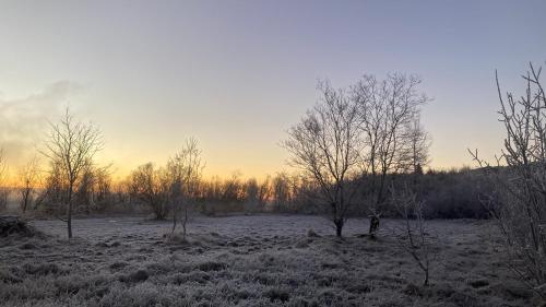 a snowy field with trees and the sunset in the background at Enchanting country home in Laugaras