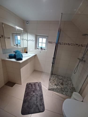 a bathroom with a shower and a sink and a toilet at Gite avec SPA privé in Drulingen