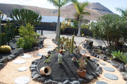 un jardin avec des cactus et d'autres plantes dans une cour dans l'établissement Villa Panoramica, à Yaiza