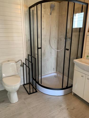 a bathroom with a shower with a toilet and a sink at Rewalia in Rewal