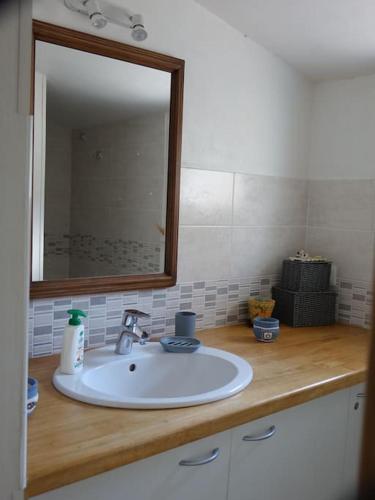 La salle de bains est pourvue d'un lavabo et d'un miroir sur un comptoir. dans l'établissement Charmante longère près des côtes Finistériennes, à Plouégat-Guérand