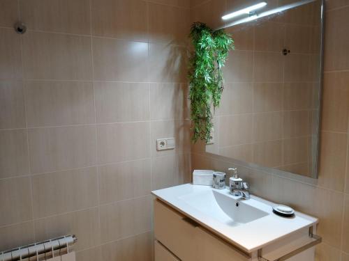 a bathroom with a sink and a mirror at Casa de Sunny in Parada