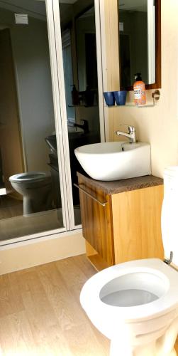 a bathroom with a toilet and a sink at Vechtdal Beerze Buren in Beerze