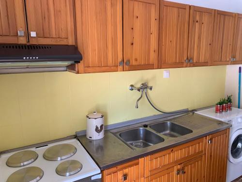 eine Küche mit Spüle und Arbeitsplatte in der Unterkunft New Zeusplace apartment with private parking Paralia Katerini in Paralia Katerinis