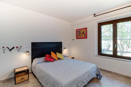 Gallery image of Artemisia negli ulivi b&b in Magliano in Toscana