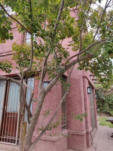 Simpática casita en Chacras – Photos 3