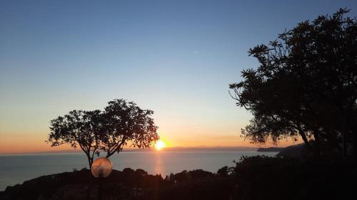 a sunset over the water with a tree in the foreground at Fewo Sole e Azzurro in Capoliveri